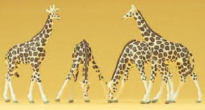 【年末年始SALE】(Nゲージ)キリン