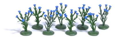 (HO) コーンフラワー　8株