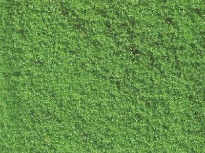 【年末年始SALE】グラスフォーリッジ ライトグリーン 20g