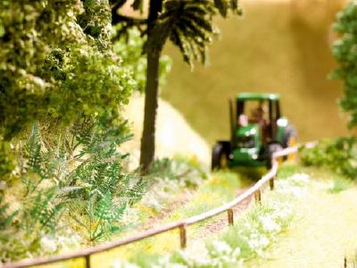 【年末年始SALE】シダ 9個入り HO