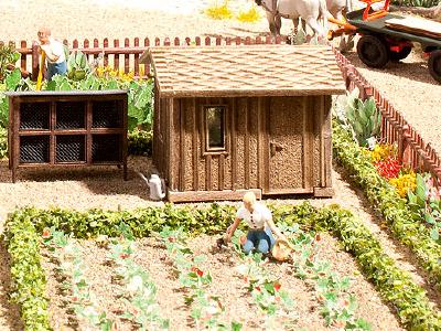 【年末年始SALE】果樹園セット(ルバーブ6個、いちご24個、ブドウの木4個) HO