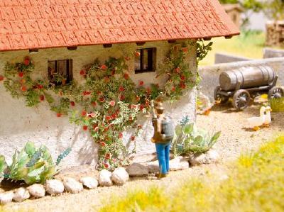 【年末年始SALE】つるバラ 6個入り HO