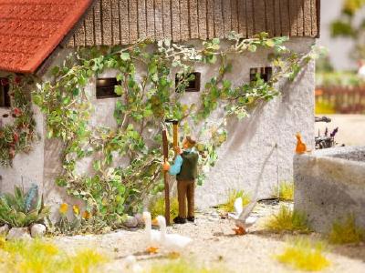 【年末年始SALE】アメリカ蔦 12個入り HO