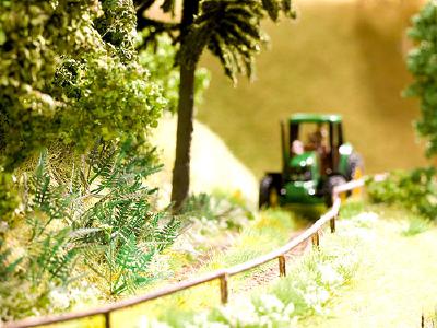 【年末年始SALE】シダ 18個入り N