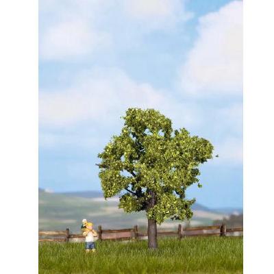 【年末年始SALE】(HO/N)果樹 75mm