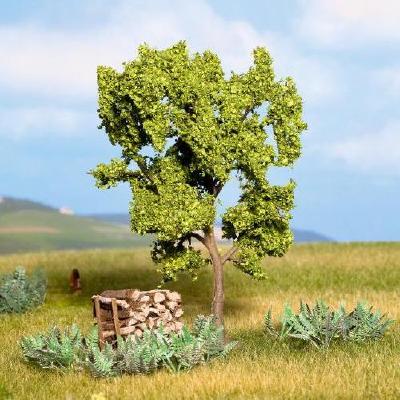 【年末年始SALE】梨の木 高さ11.5cm HO/N