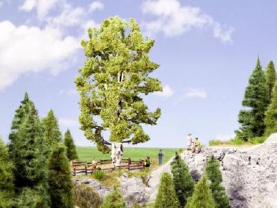 【年末年始SALE】(HO)白樺 190mm