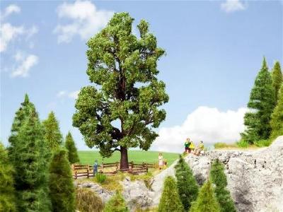 【年末年始SALE】(HO)くるみの木 185mm