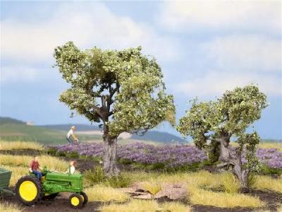 【年末年始SALE】(HO)オリーブの木2本セット(60mm、90mm)