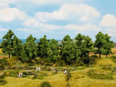 【年末年始SALE】(HO)落葉樹 16本 高さ10-14cm