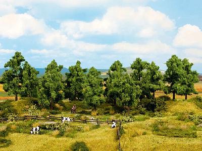 【年末年始SALE】(HO/N)落葉樹 16本 高さ4-10cm