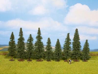 【年末年始SALE】モミの木 9本 高さ8-12cm HO/N/Z