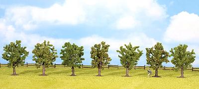 【年末年始SALE】果樹　7本 高さ8cm HO