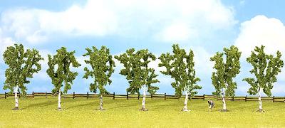 【年末年始SALE】白樺　7本　高さ10cm HO/N/Z