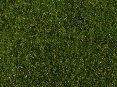 【年末年始SALE】野草フォーリッジシート ミディアムグリーン 20x23cm