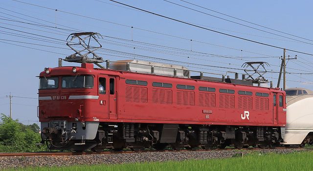 【ご予約】HO-2533 (N) JR EF81形電気機関車(双頭形連結器・プレステージモデル)
